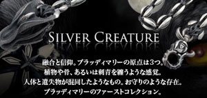 silvercreature(Vo[N[`[)